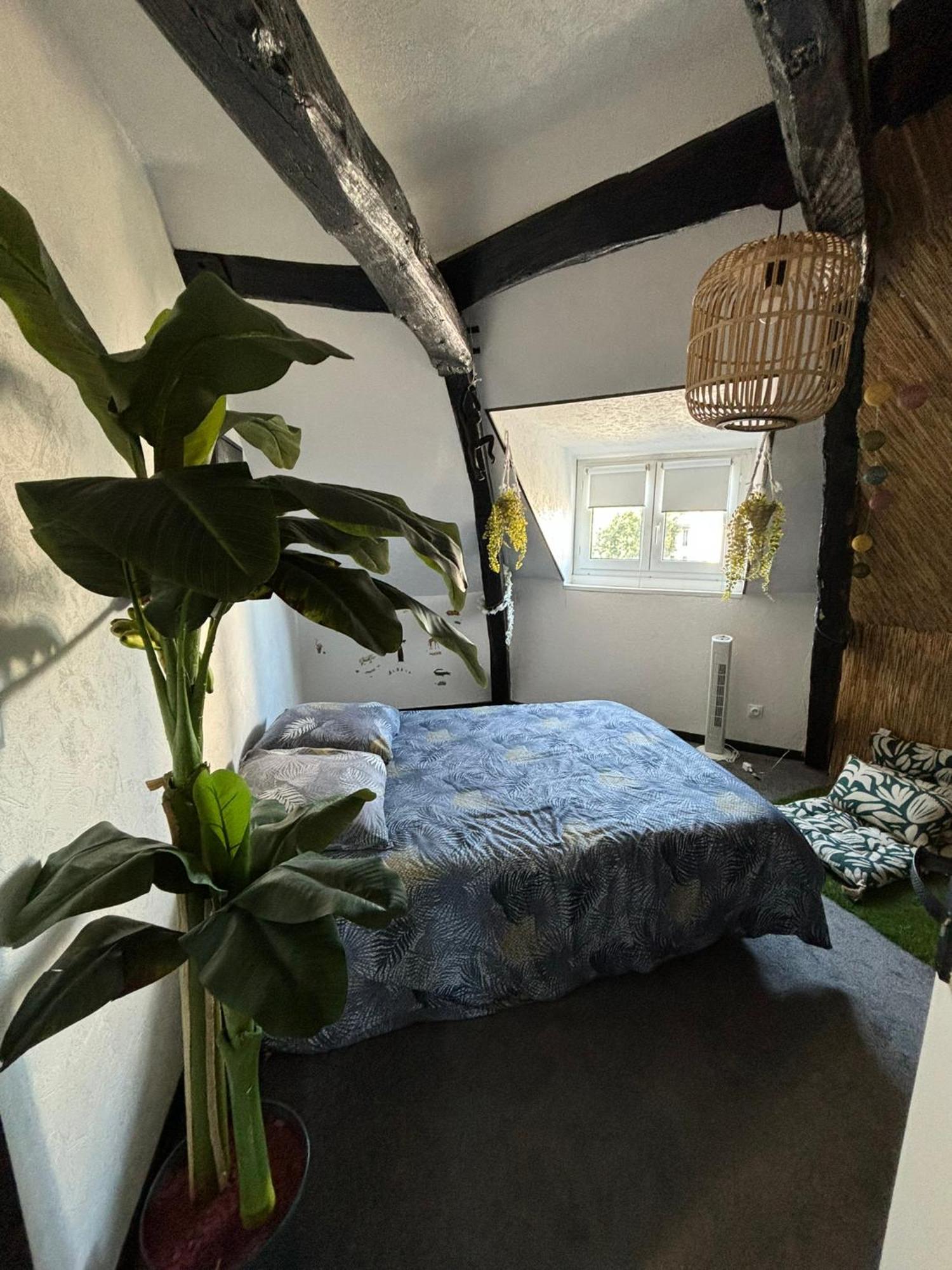 Apartament Jungle Cosy Louviers Zewnętrze zdjęcie