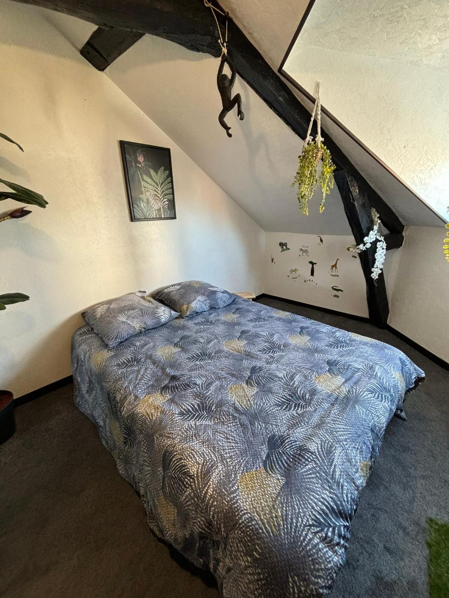 Apartament Jungle Cosy Louviers Zewnętrze zdjęcie