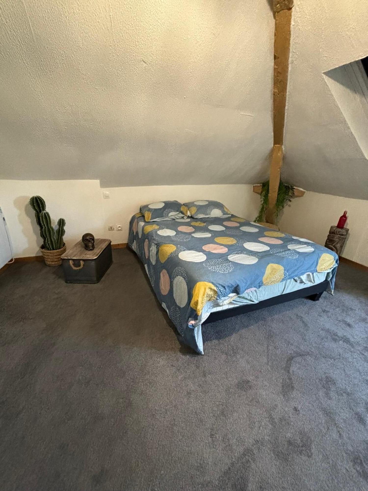 Apartament Jungle Cosy Louviers Zewnętrze zdjęcie