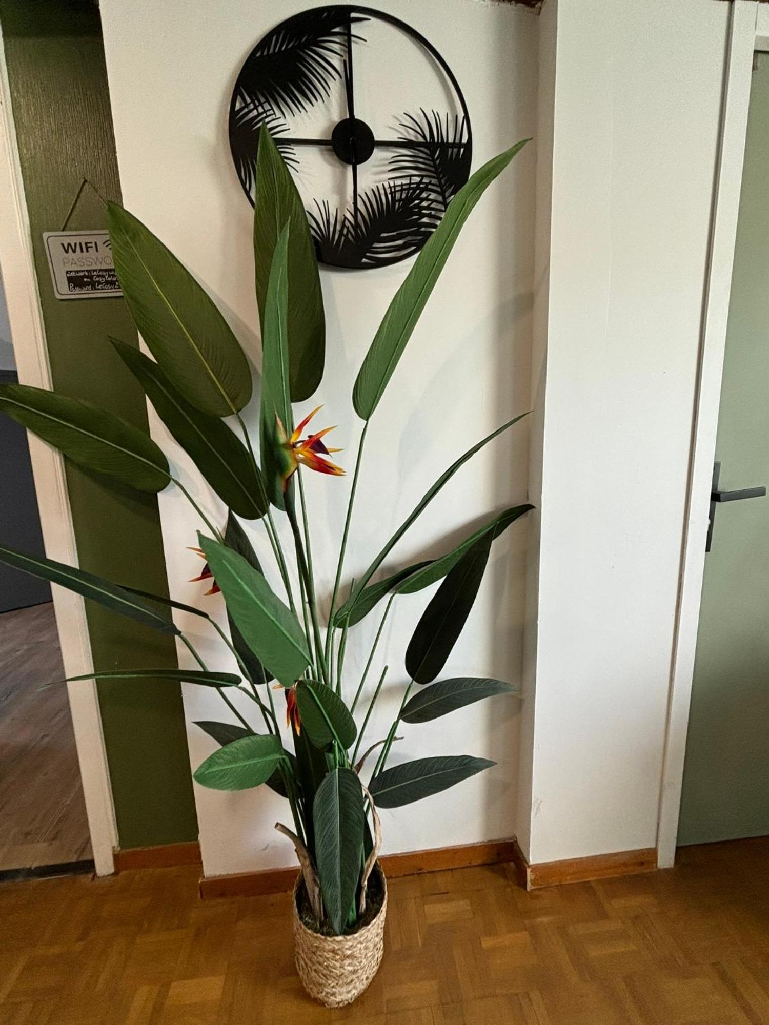 Apartament Jungle Cosy Louviers Zewnętrze zdjęcie